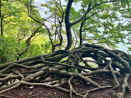 24-07-02 12-47-31 0110